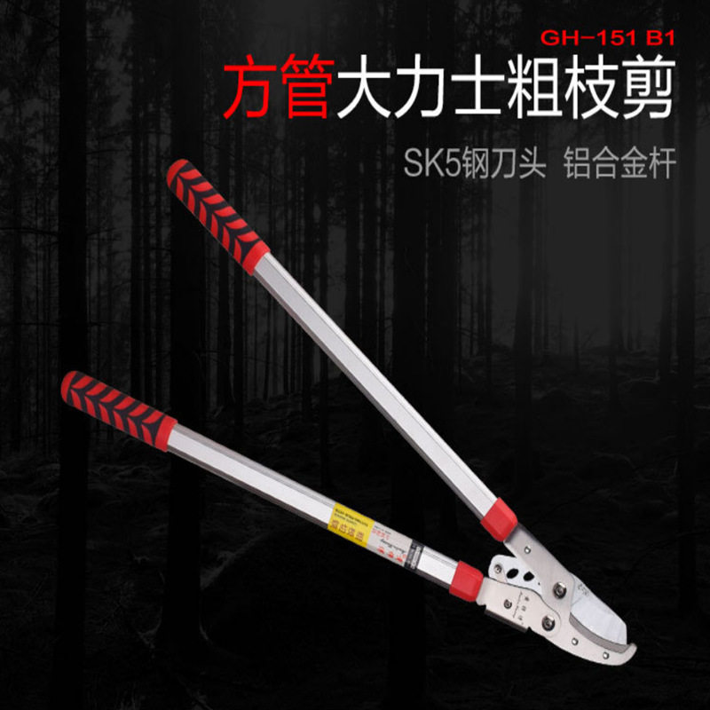 黄师傅剪枝剪粗枝大力剪SK5钢剪树枝剪刀果树修枝剪园林剪刀
