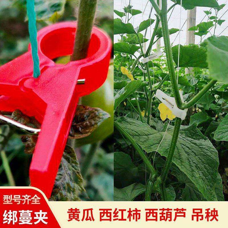 黄瓜绑蔓夹蔬菜种植扶蔓夹青椒绑蔓植物落秧夹西红柿西葫芦吊秧夹