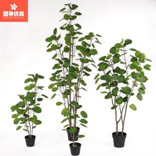 绿色桐福仿真绿植橄榄树大号植物树盆栽盆景室内落地橱窗装饰摆件
