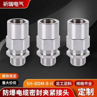 8II防爆电缆密封夹紧接头填料函格兰头 BDM 防爆格兰头防爆铠装