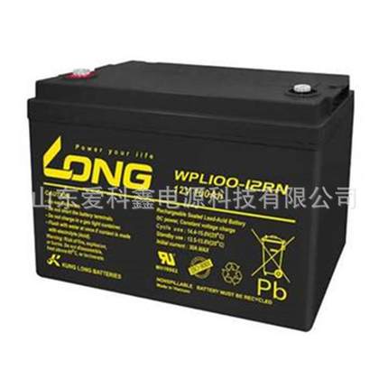 LONG广隆蓄电池WPL100-12RN12V100AH直流屏机房外接电池