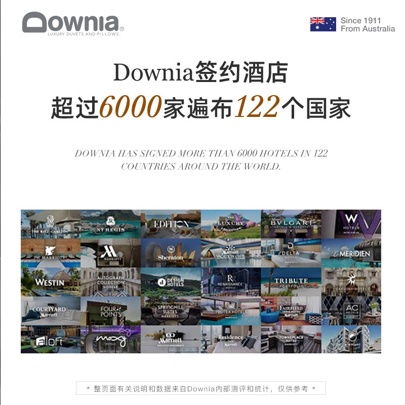 五酒店羽绒枕头95白鹅绒枕芯成人护颈全鹅绒枕单人