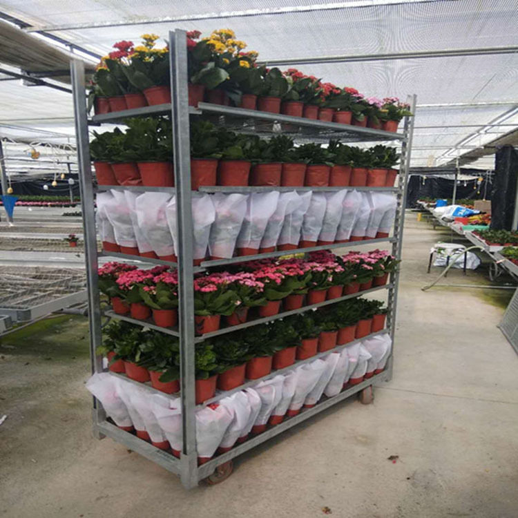 青岛厂家穴盘车热镀锌处理催芽车农场专用果蔬培育车花卉育苗车