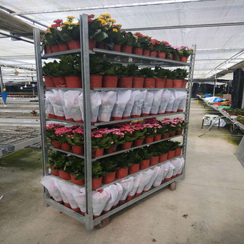 青岛厂家穴盘车热镀锌处理催芽车农场专用果蔬培育车花卉育苗车