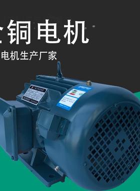 浙江瑞安鸿祥电机YLJ112-10N-4极卧式三相力矩电动机