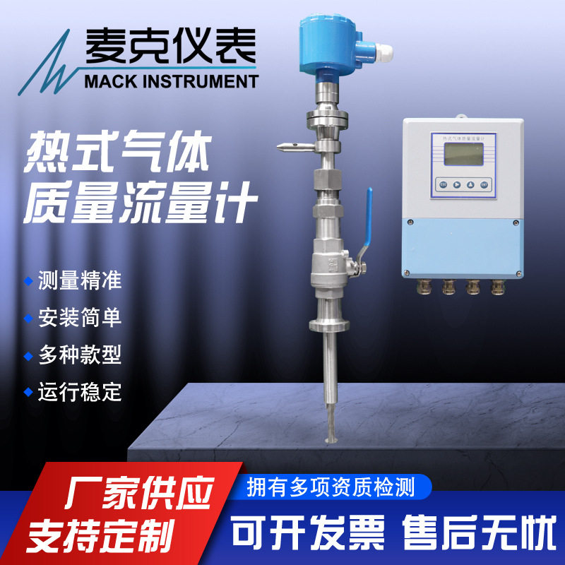 分体热式气体质量流量计麦克热式气体流量计分体气体流量计