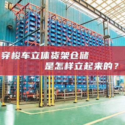 无人自动化立体仓库RGV贯通穿梭式密集存储货架智能仓库货架