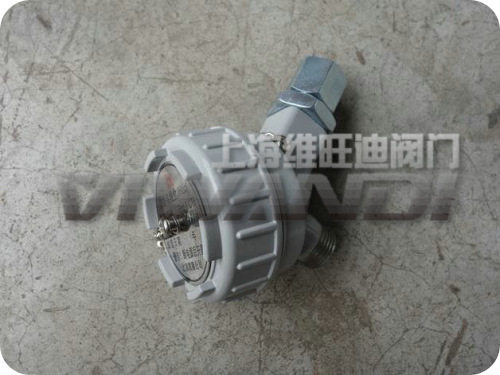 防爆接线盒EXDIICT6CT4EXDIIBT4BT6