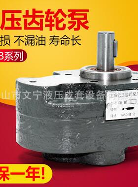 上海低压/钢齿液压齿轮泵CB-B2.5/B4/B6/B10/B16/B20/B25抽油泵
