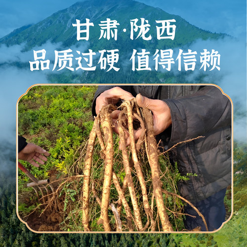 甘肃陇西道地药材野生黄芪圆切
