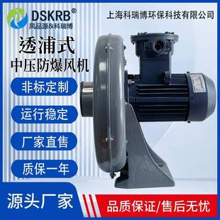 0.75KW防爆鼓风机低噪音微型防爆引风机吹吸两用EX隔爆型