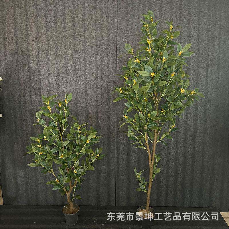 仿真桂花树室内造景塑料盆栽装饰办公室落地摆件庭院景观拍摄道具