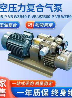 WZB-P-VB单泵头真空泵无油真空压力复合气泵吹吸两用气体传输泵
