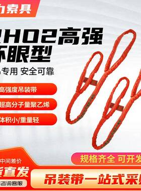 巨力高强吊装带RH02高强环眼防护型吊装带3T10T3米6米5吊装带