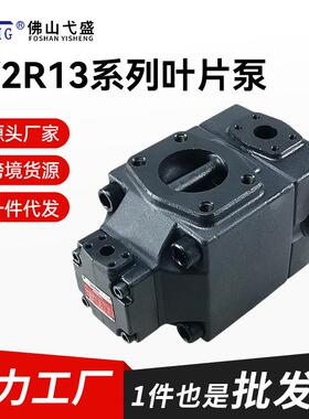 PV2R13-6/8/12/14/17-52/66/85/108/125-F-REAA42液压叶片油泵