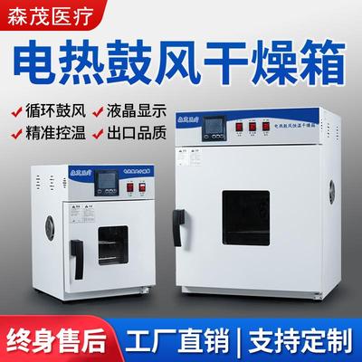 电热鼓风恒温干燥机大学实验室干燥箱双风离心风机食品果干烘干机