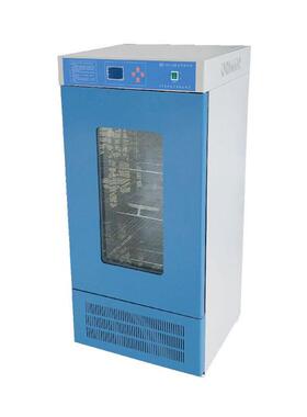 光照培养箱GPX-250型