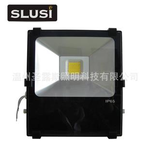 LED户外灯具LED工矿灯投光矿洞灯具30WF3003投光灯薄利多销
