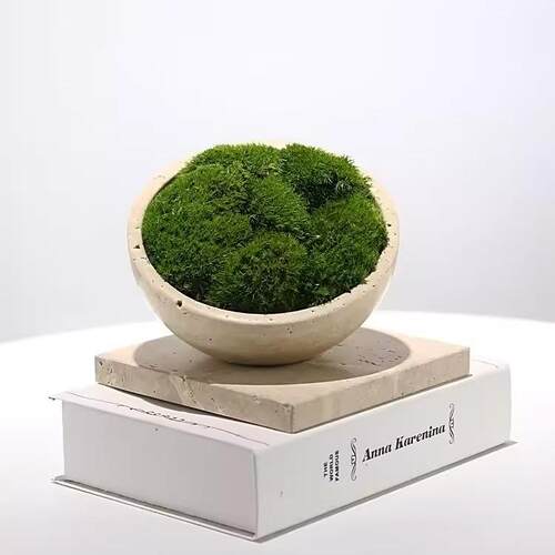 现代永生青苔洞石花器绿植盆景样板房售楼处洽谈桌办公室软装摆件