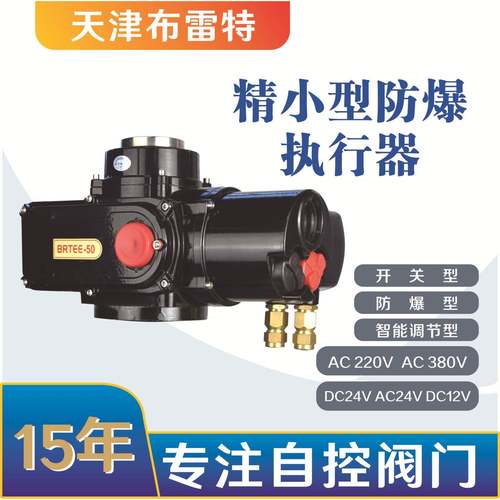 BRTEE-05防爆电动执行器BT4防护等级IP68开关型智能一体化调节型