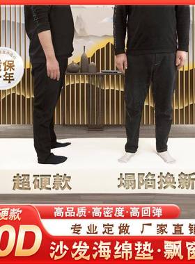 ll沙发海绵垫坐垫高密度海绵加厚加硬沙发垫飘窗垫屁垫靠背