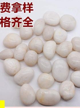 原厂地白色抛光鹅卵石雨花石铺路石头五彩石黑色装饰造景石头