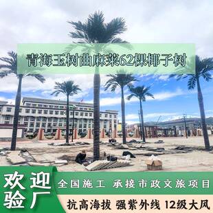 青海玉树曲麻莱仿真椰子树仿真海枣树案例市政工程12m大型仿真树