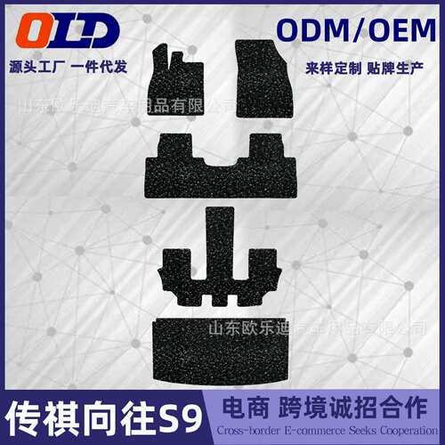 适用于传祺向往S9脚垫五座六座汽车内饰改装饰用品星空毯脚垫地毯