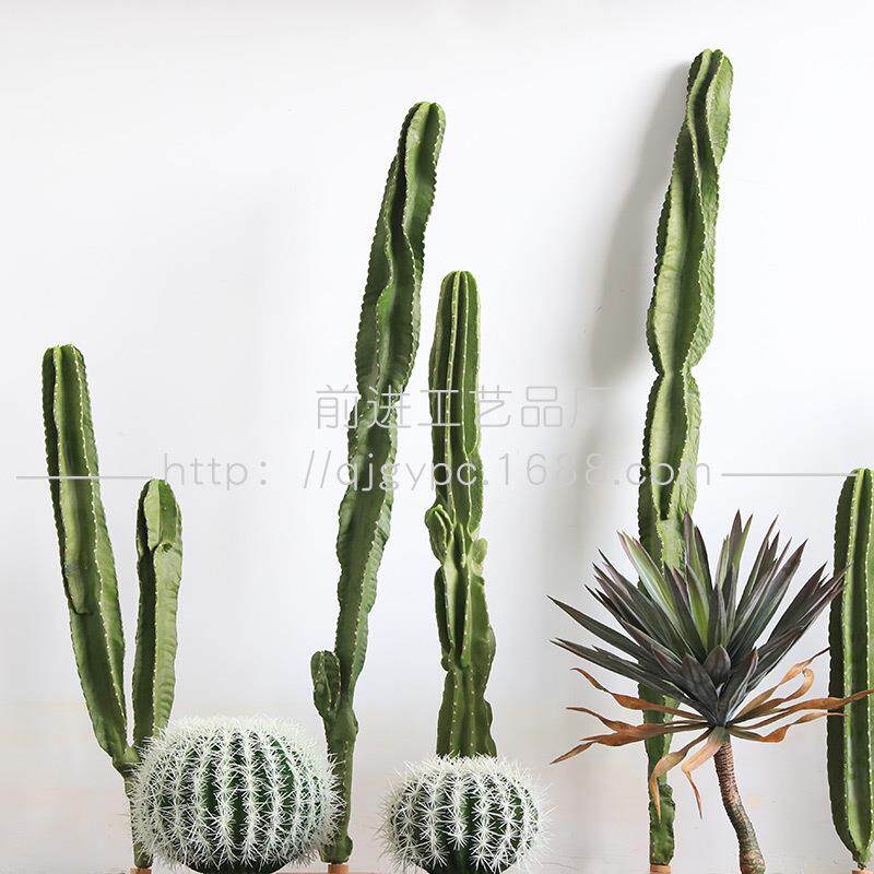 仿真仙人柱PU手感天轮柱仙人掌热带沙生植物网红店装饰假绿植