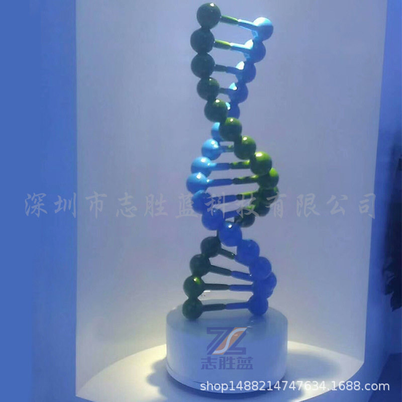 玻璃钢加底座雕塑小品摆件科研参展DNA基因结构模型中式风格