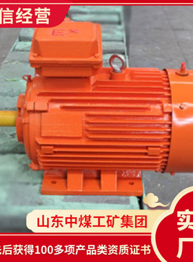 YFB系列粉尘防爆三相异步电动机现货销售粉尘防爆三相异步电动机