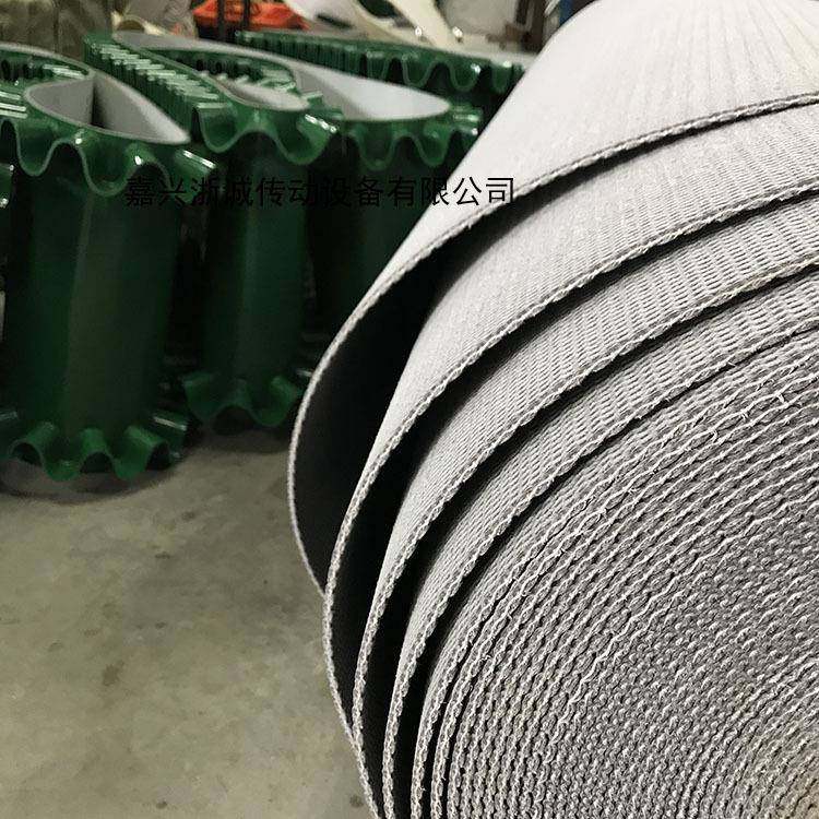 嘉兴浙K诚厂家直销物流输送带，PV快递传带传，黑色物HOB送流输带,鲜花速递/花卉仿真/绿植园艺,其它园艺用品,淘宝优惠券,粉丝福利购,淘宝优惠卷