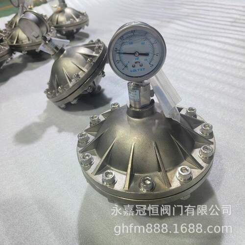 冲GHZ-0.305LDN15脉冲阻尼器膜片式脉M阻尼器3234/316L材质