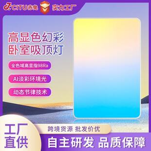 天境灯青晴空灯自然光客厅吸顶灯氛围灯动态智能蓝天空天际灯具