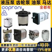 Caproni液压齿轮泵00A10A20A30A15A00C00R40A20C10C