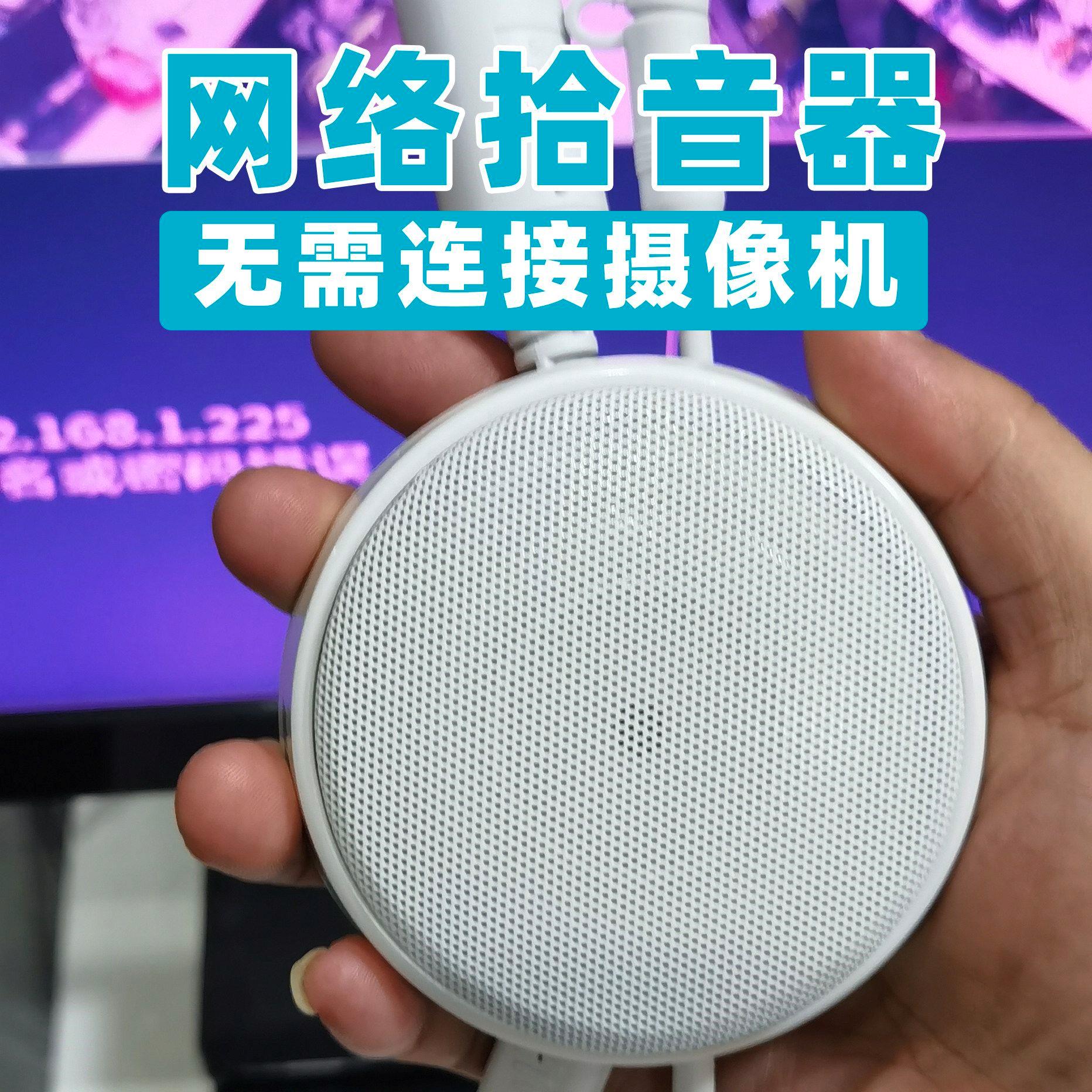 思正POE网络拾音器主流N