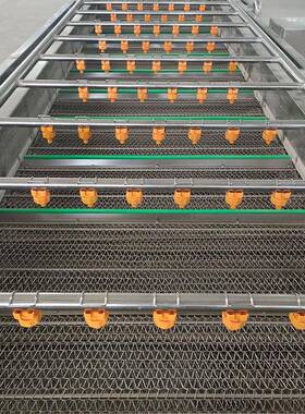 供应全不锈钢MGV高泡压菠喷淋气清洗机00宽网8带菜韭菜清洗机