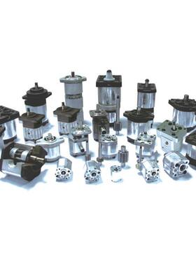 BAP2B3D12T2F1系列齿轮马达