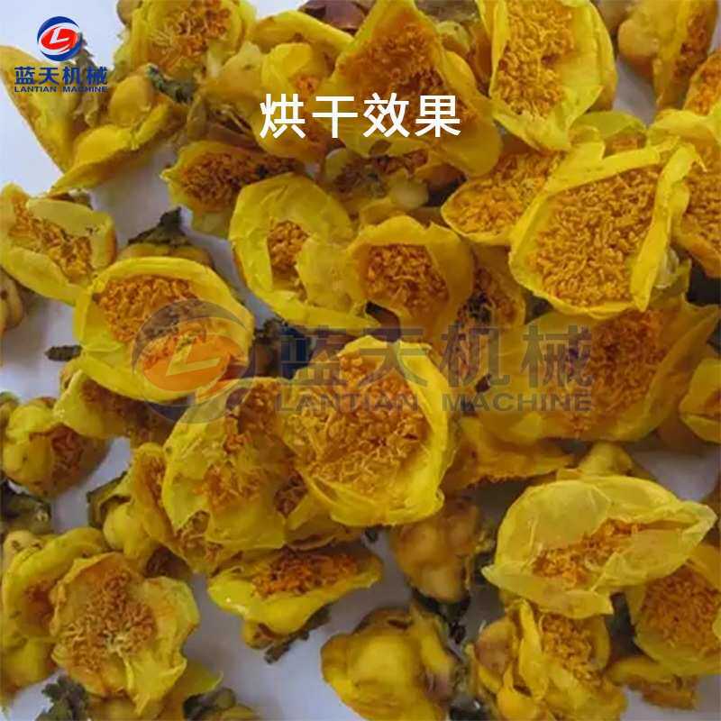 广西金花茶烘干机小型家用 金莲花黄色山茶烘干箱 花茶烘干机设备