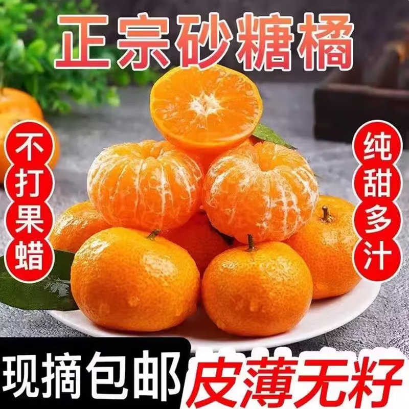 广西桂林砂糖橘沙糖桔当季新鲜水果橘子正宗应精选高山果纯甜多汁,水产肉类/新鲜蔬果/熟食,桔子,淘宝优惠券,粉丝福利购,淘宝优惠卷