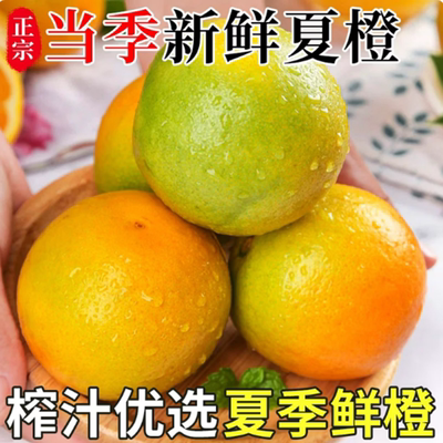 广西夏橙新鲜采摘当季整箱包邮
