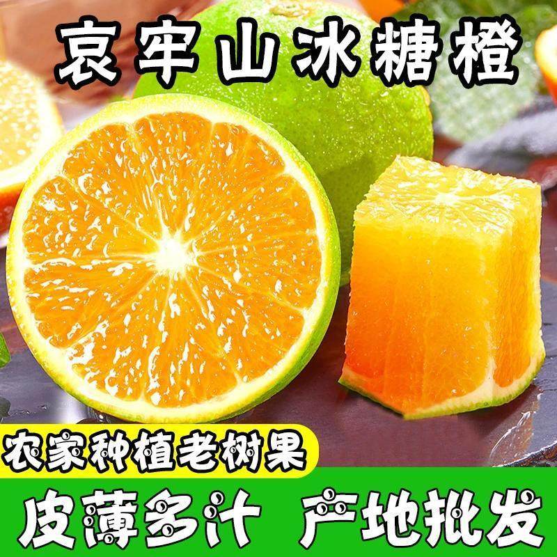 正宗云南玉溪冰糖橙10斤新鲜水果应当季橙子手剥果冻甜橙大果包邮,水产肉类/新鲜蔬果/熟食,橙,淘宝优惠券,粉丝福利购,淘宝优惠卷