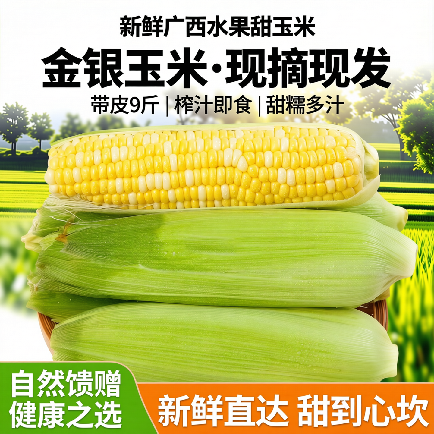 新鲜广西水果香甜玉米新鲜现摘当季玉米新鲜玉米榨汁即食带皮带壳