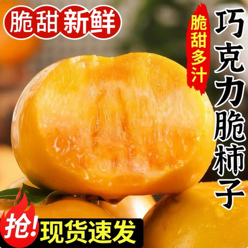 阳丰正宗巧克力脆柿子9斤大甜柿