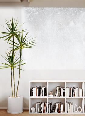 轻奢真仿绿植龙兰假树物盆220620龙栽室内客厅装饰植舌家居落地盆