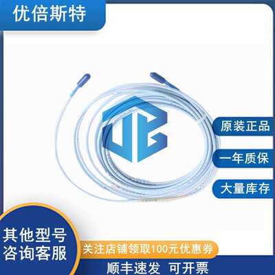 本特利 Bently Nevada 330101-00-63-20-12-00