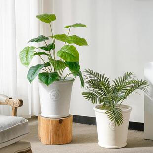 水泥镁泥北花盆室内客厅养花落地简约装饰阳台物植仿无规格真绿植