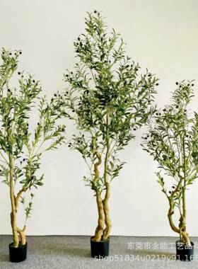 仿真橄榄树北欧风家居饰造品假型橄榄树摆件面门装店饰假绿YFG032