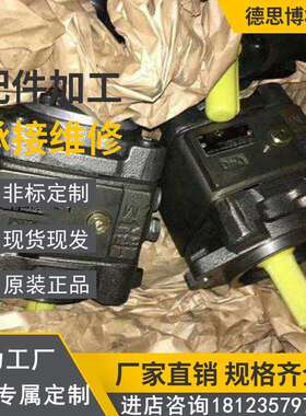 压铸机工业液压泵PVV21-1X/060-018RA15DLMB塑料机械压模铸造油泵