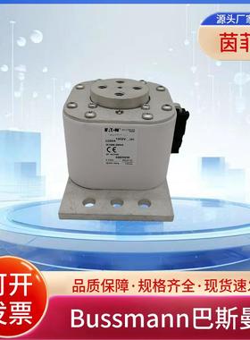 巴斯曼熔断器170M7098 170M7099 170M7090 170M7031 170M7034